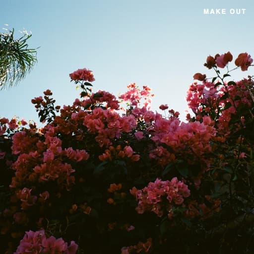 Album art for ILYSB by LANY